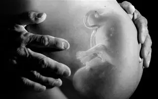 Wat is een embryo?